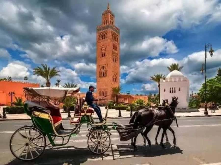 Full-Day Group Trip to Marrakech from Agadir - Walking through the medina and souks