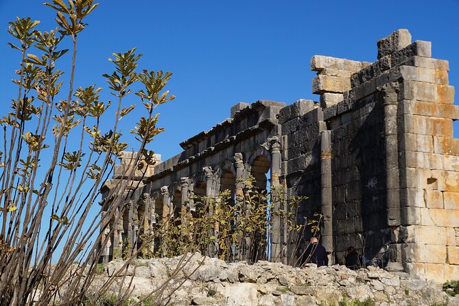 Full-day Historical Meknes Volubilis and Moulay Idriss Tour - Volubilis: the clear highlight of the day