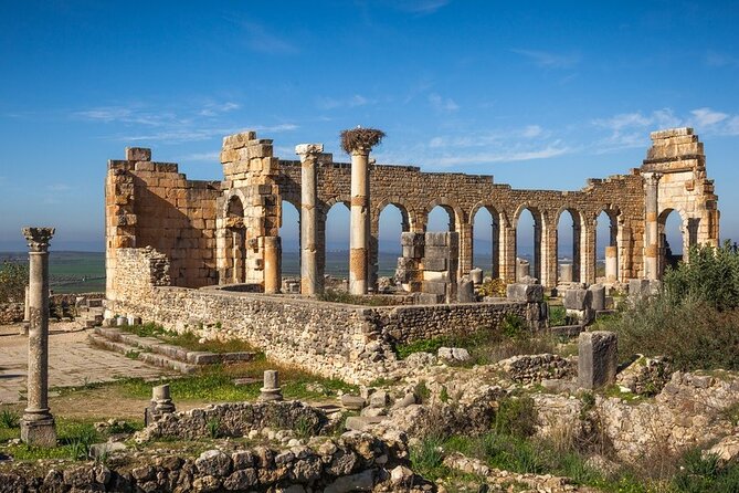 Full-day Historical Meknes Volubilis and Moulay Idriss Tour - Who should book this day trip