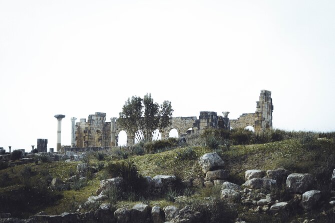 Full-Day Historical Tour to Meknes Volubilis and Moulay Idriss - Lunch is flexible, but the day is not
