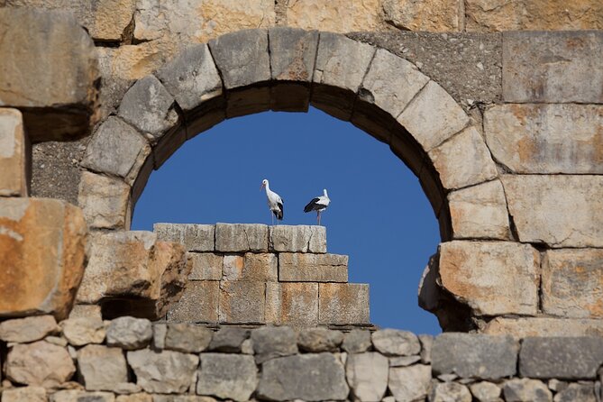 Full-Day Historical Tour to Meknes Volubilis and Moulay Idriss - Timing, communication, and practical planning