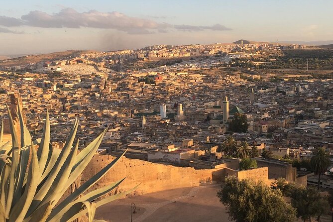 Full -Day Private Guided Walking Tour Of Fez Medina - The Fez tanneries and what to expect