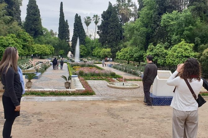 Full-Day Private Tour of Fez - Chouara Tannery and the working trades