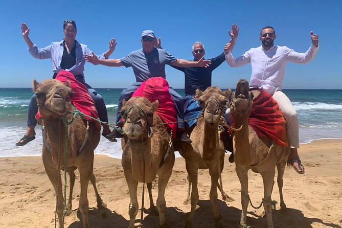 Full Day Private Tour of Tangier - A camel ride on Achakkar Beach