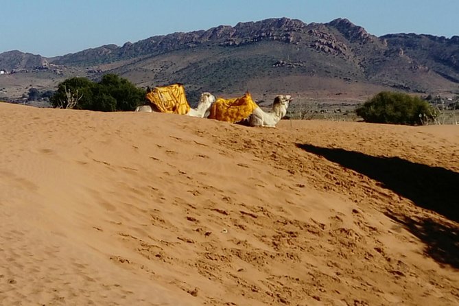 Full-Day Safari Small Desert With Lunch - The mini Sahara and what the rally means