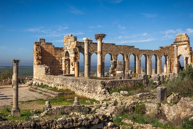 Full-Day Tour from Fez to Vollubulis, Moulay Idriss Zerhoun, Mèknes - Walking among the Roman ruins of Volubilis
