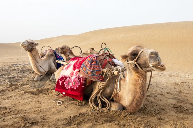 Full Day Tour to Desert Trip in Agadir with Lunch - A full day beyond Agadir’s beach hotels