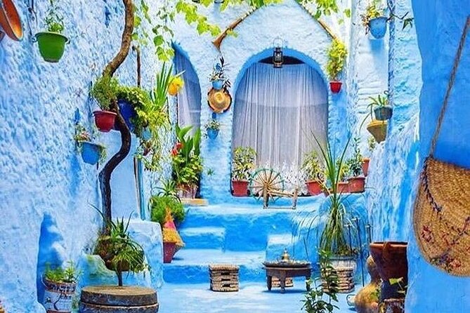 Full-Day Tour to the Blue City Chefchaouen on Small-Group - Why Chefchaouen works as a day trip from Fez