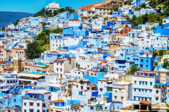 Full day trip from Fez to Chefchaouen - Is $114.98 a fair price?