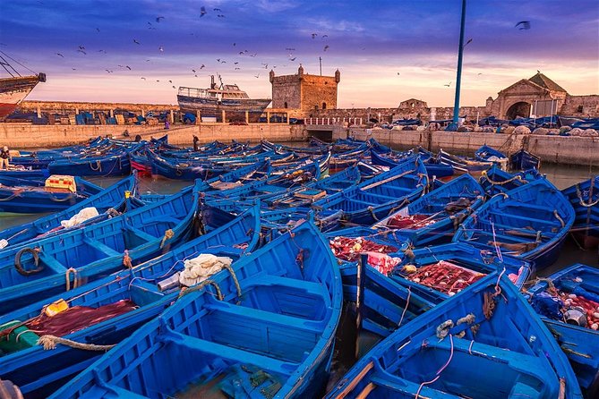 Full Day Trip To Essaouira From Marrakech - The argan oil cooperative and roadside stops