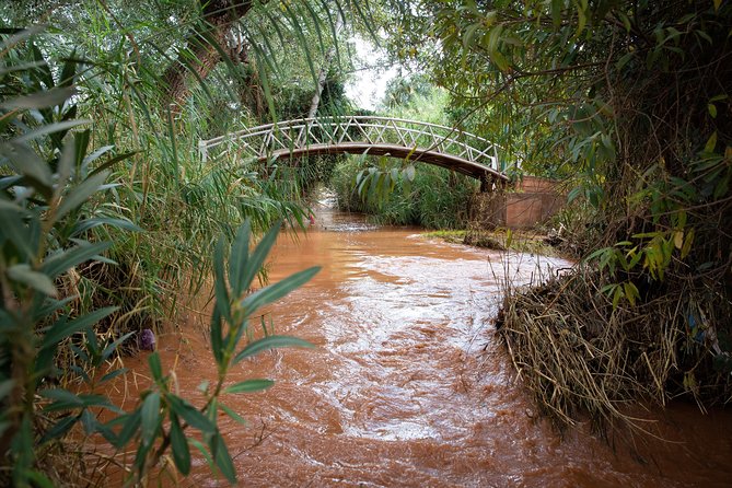 Full Day Trip To Ouzoud Waterfalls From Marrakech & Boat Tour - Lunch beside the falls