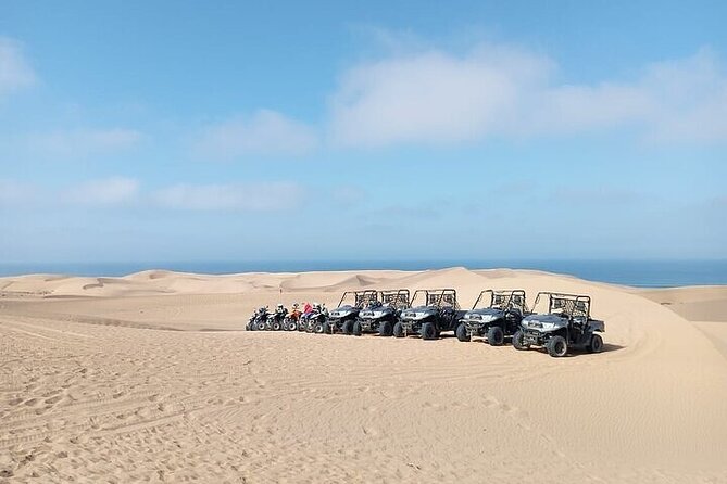 Fun buggies in Agadir Forest and Beach Dunes - Quick facts worth knowing