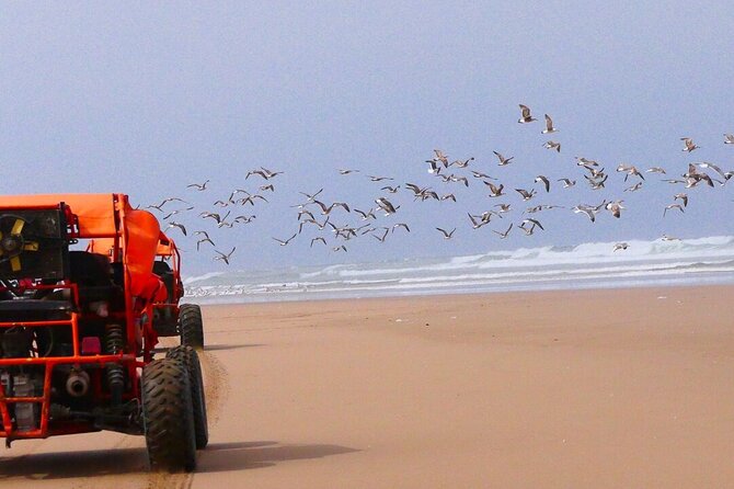 Fun buggies in Agadir Forest and Beach Dunes - What the Agadir buggy ride is really like