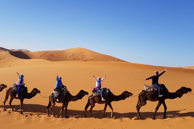 Group - 2 Nights Desert Trip from Fes to Marrakech or back to Fes - Who will enjoy this desert trip most