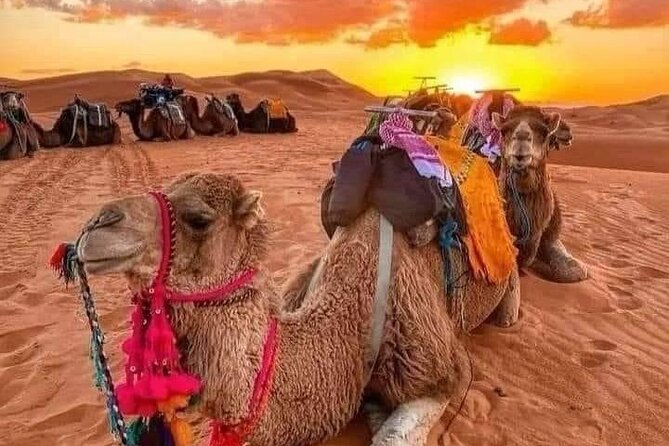 GROUP TOUR - 1 night 2 Day LUXURY Desert TRIP from FES to FES - Why this Fez desert tour makes sense