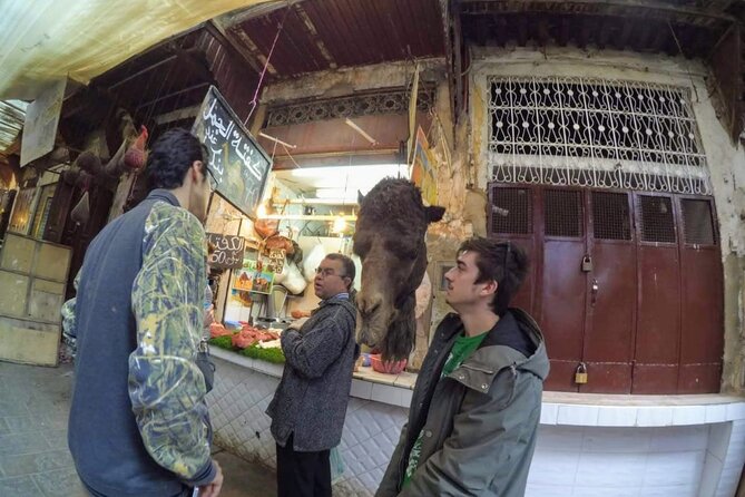 Half-Day Guided Tour in Fes - Bab Boujloud, Fes’s blue-and-green gateway