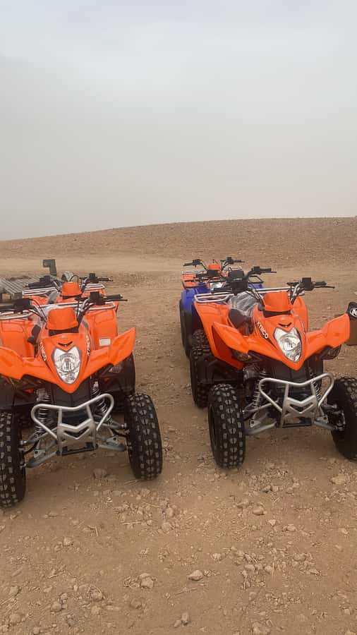 Half day Quad biking at Agafay Desert - Key points to know before you book
