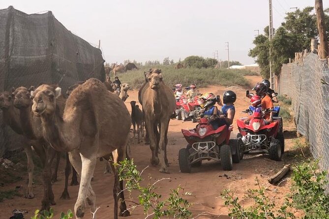 Half Day Quad in Agadir - From Agadir hotels to the quad base