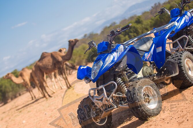 Half-day QUAD In Agadir + pick-up included from Agadir - What the pace means for your experience