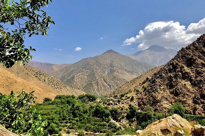 Half Day Tour From Marrakech to the Atlas Mountains & Ourika Valley - High Atlas views and Berber village life