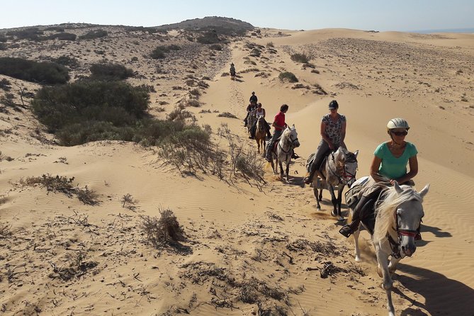Horse Ride on the Beach in Essaouira - Horses, instruction, and safety