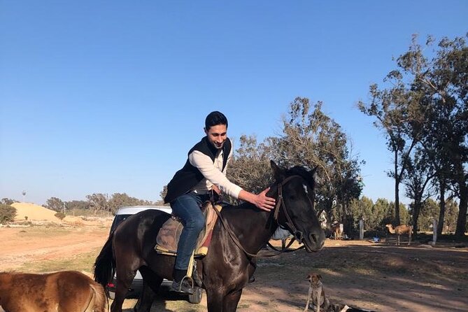 Horse Riding Agadir - What happens before you mount