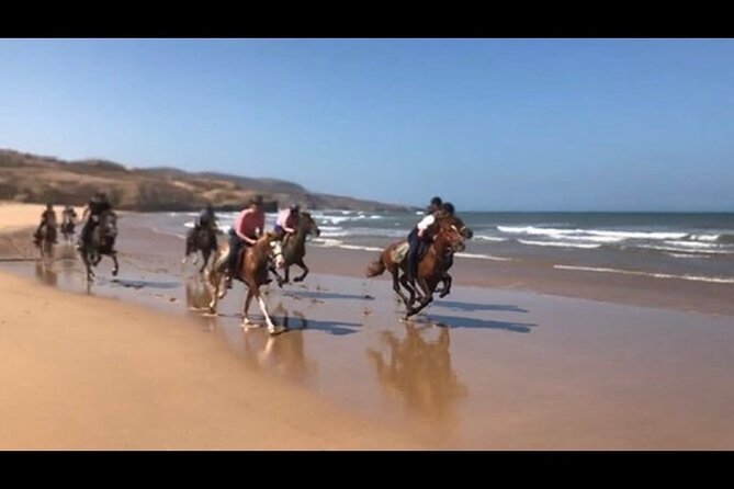 Horse Riding Agadir - The beach section and possible gallop