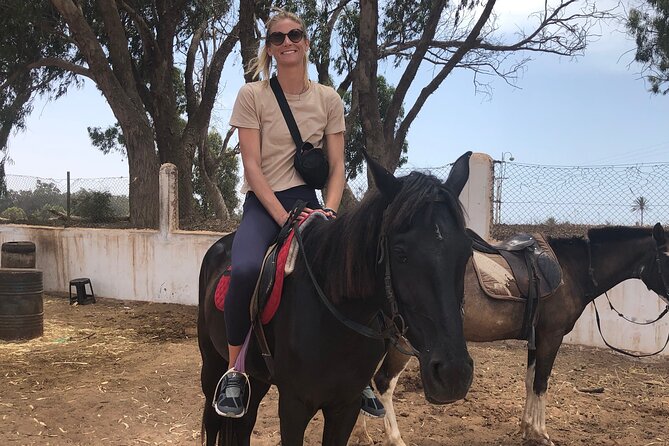 Horse Riding Agadir - Matching the ride to your ability