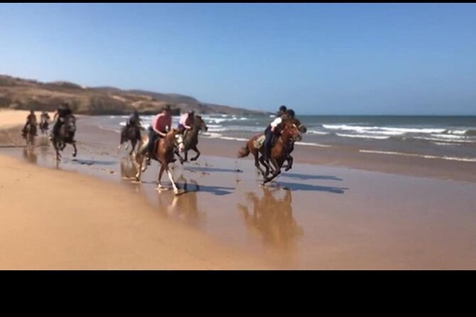 Horse Riding Agadir - Small details that make the day easier