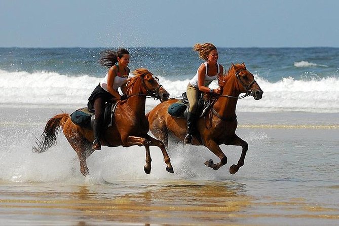 Horse Riding Agadir - Through the eucalyptus forest