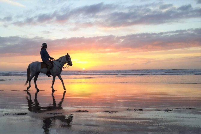 Horse riding at sunset for 2 hours - Key points before you saddle up
