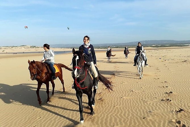 Horse riding on the beach of Essaouira 2 hours - Through eucalyptus forest and around the Sultan’s palace