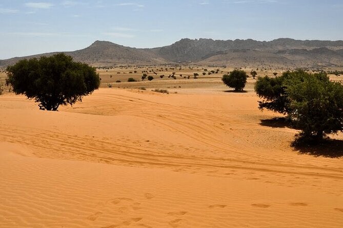 Jeep 4x4 Safari Desert Dunes & Atlantic Ocean with Berber Lunch - Sidi Rbat and the fishermens caves
