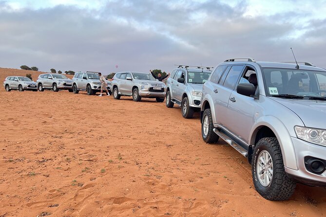 Jeep safari 4x4 mini sahara desert with Berber Lunch - The Massa River and Youssef Ben Tachfine Dam
