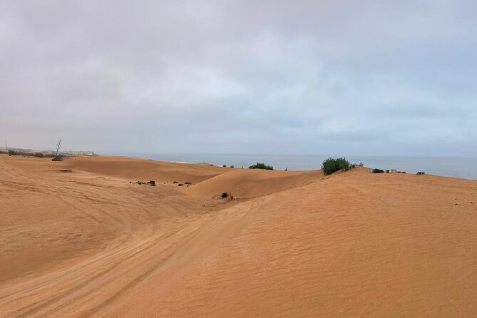 Jeep safari 4x4 mini sahara desert with Berber Lunch - Rasmouka desert and the sandboarding session