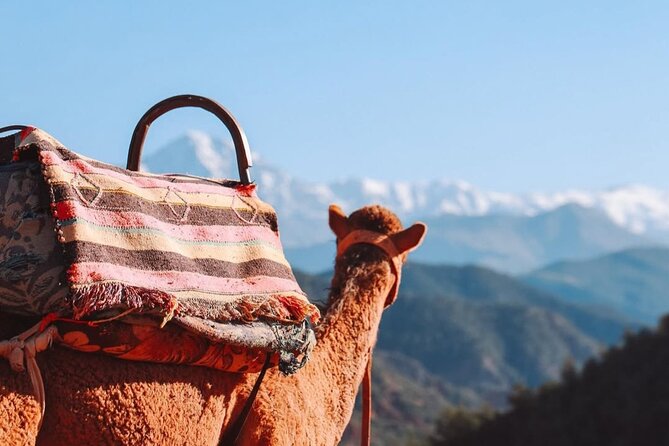 Lunch in the High Atlas: Ourika Valley Waterfalls & 3 Valleys - Dinner by the campfire