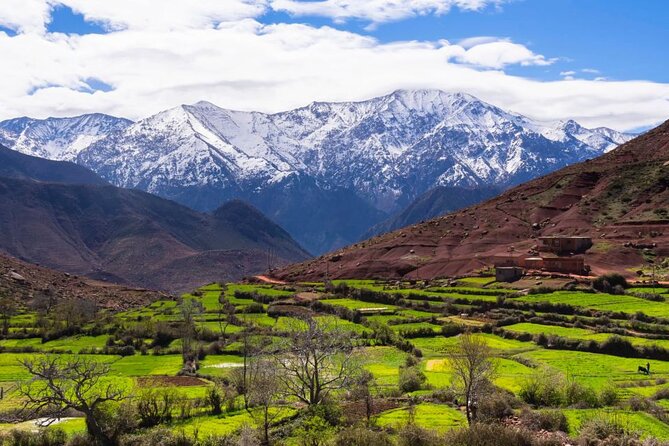 Lunch in the High Atlas: Ourika Valley Waterfalls & 3 Valleys - Music, dancing, and the fire show