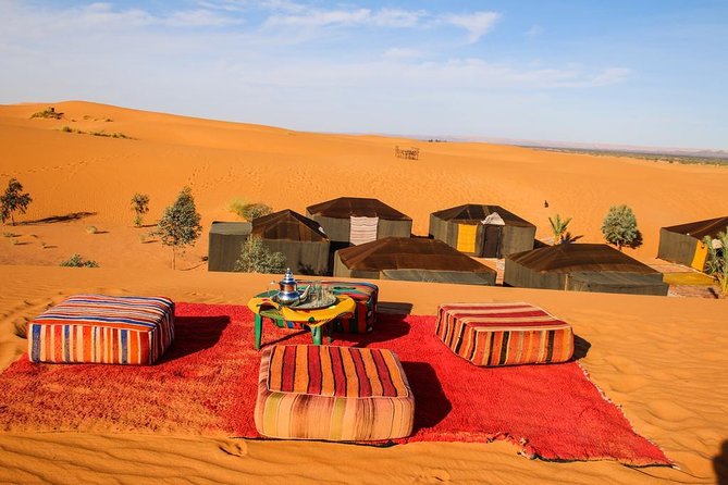 Luxury 2-Days Desert Trip from Fes to.:( fes or marakech) - Azrou’s cedar forest and the Barbary macaques