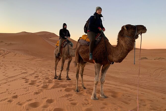 Luxury 2-Days Desert Trip from Fes to.:( fes or marakech) - Sunset, dinner, and the Berber camp