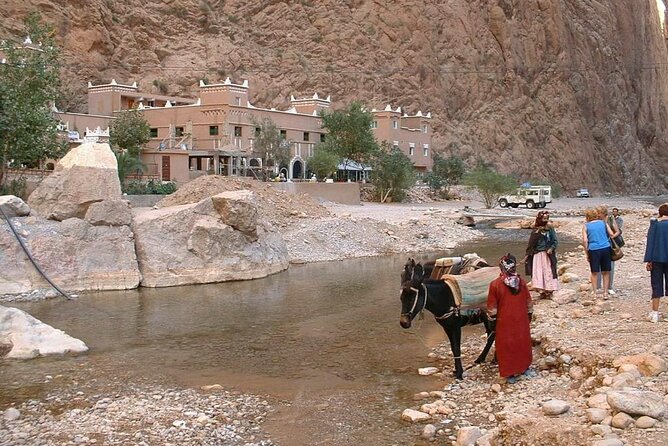 luxury 3 Days 2 Nights Desert Tour from Fez to Marrakesh - Should you book this Fez to Marrakech desert tour?