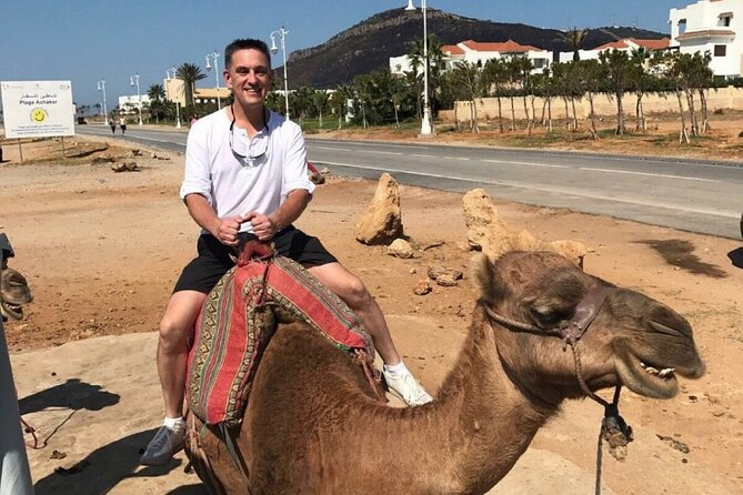 luxury 4 Hour Private Tour of Tangier - From Mohammed V Mosque to Marshan Palace
