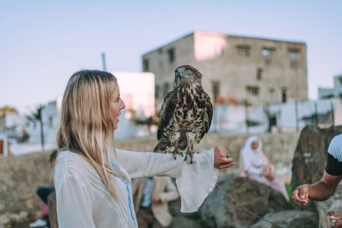 luxury 4 Hour Private Tour of Tangier - Parc Perdicaris and the story behind the name
