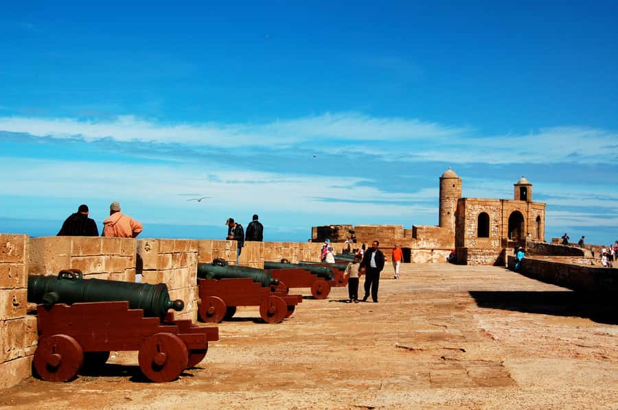 Luxury day trip to Essaouira from Marrakech - Looking for goats in the argan trees
