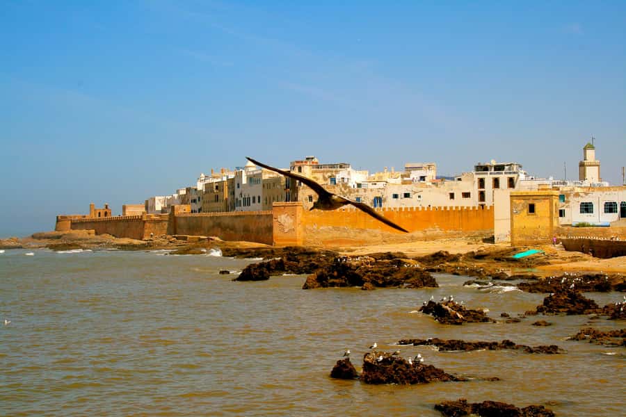 Luxury day trip to Essaouira from Marrakech - The return journey and Moroccan mint tea