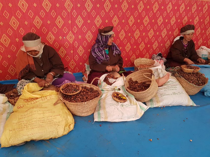 Luxury day trip to Essaouira from Marrakech - Is $34 good value?