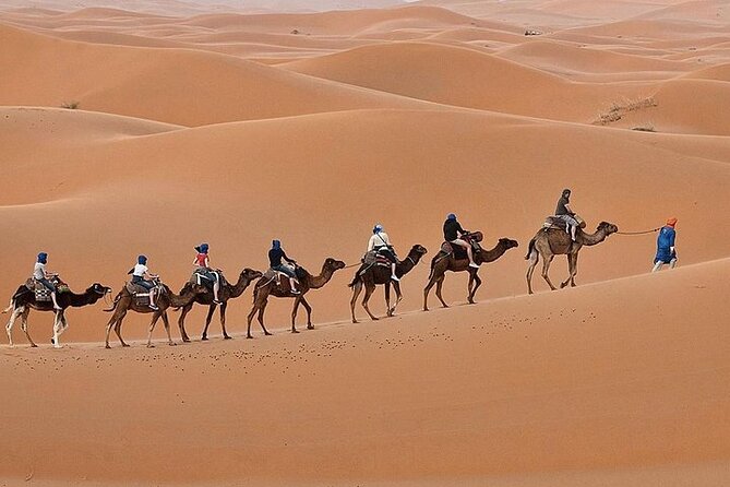 Luxury Sahara Desert From Fez back to fez or marrakech overnight - What private luxury means here