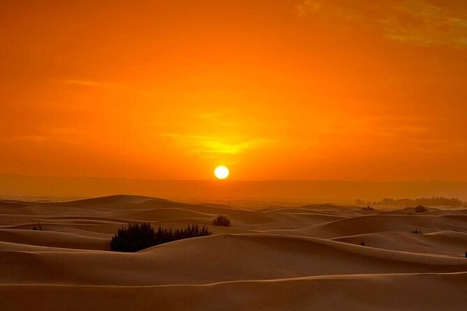 Luxury Sahara Desert From Fez back to fez or marrakech overnight - Is $125.62 good value?