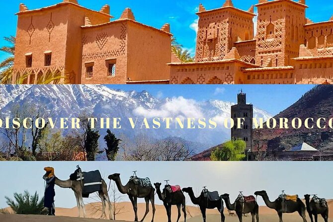Magical Morocco 8 day - Day 4: Camel tracks and a Sahara sunset