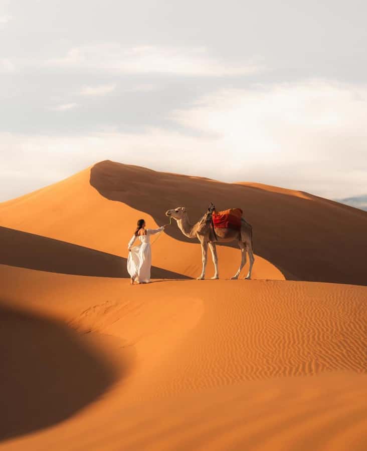 Majestic Desert: 3-Day Luxury Journey from Marrakech to Fes - Day one: Tizi n’Tichka, Ait Ben Haddou, and Dades