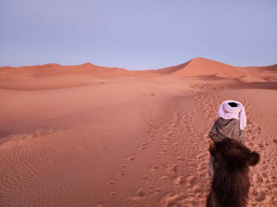 Majestic Desert: 3-Day Luxury Journey from Marrakech to Fes - Choosing between standard and luxury desert camping